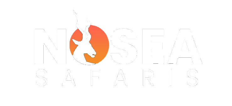 Nosea Safaris