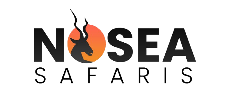Nosea Safaris